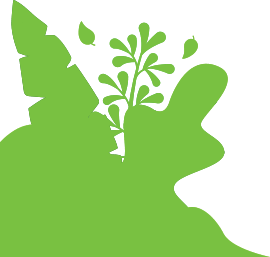 banner-shape